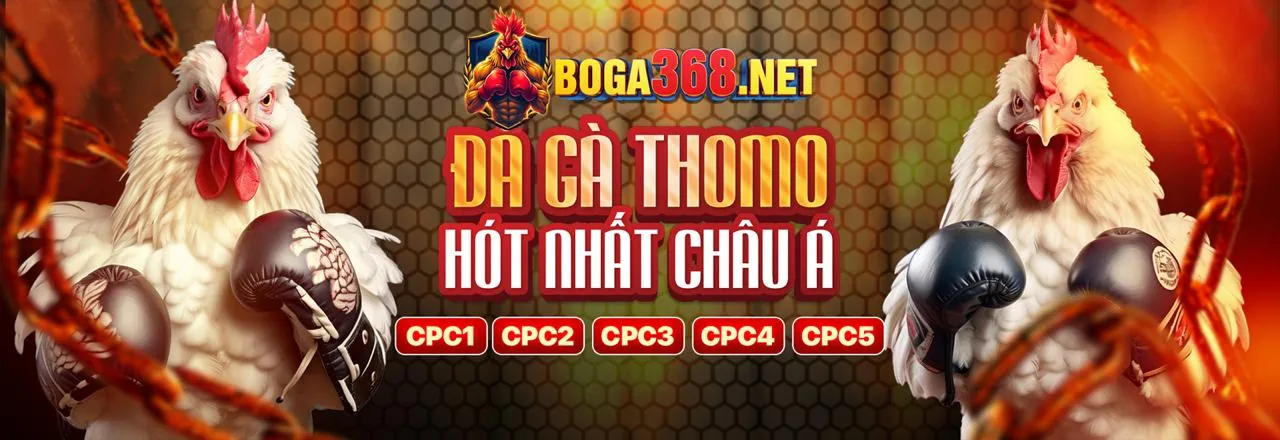 Hình ảnh chính cá cược thể thao 88t hiện đang mở